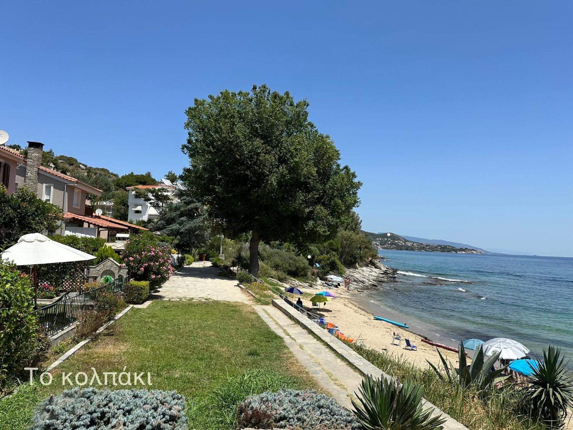 Olivia -Ελιά Apartment PalaiónTsiflíkion Exterior foto